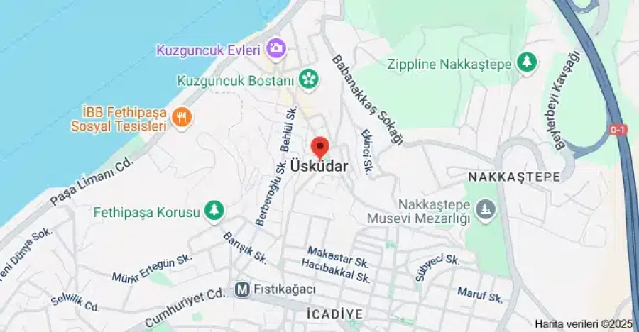 Üsküdar Şok Dalga Tedavisi